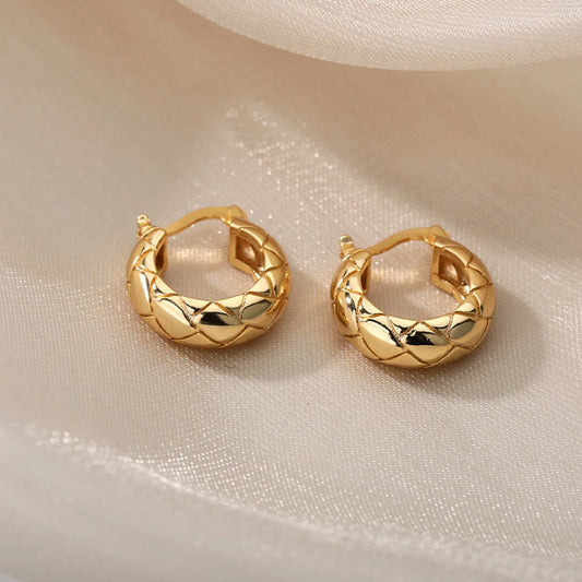 Round Earrings Stainless Steel